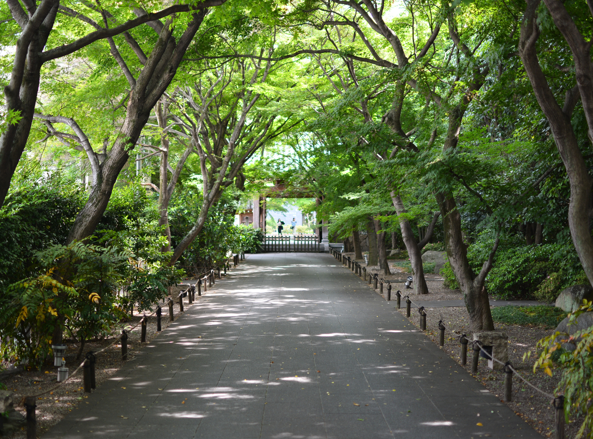 宿鳳山高円寺_画像3