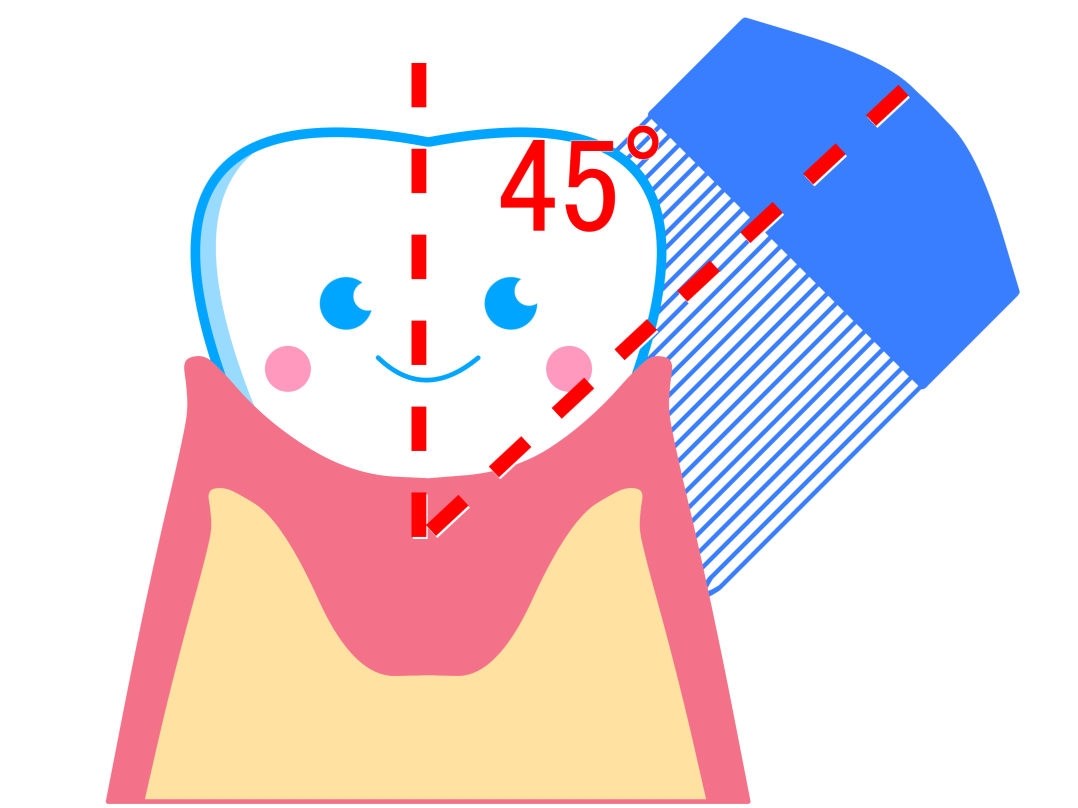 歯ブラシの当て方、動かし方