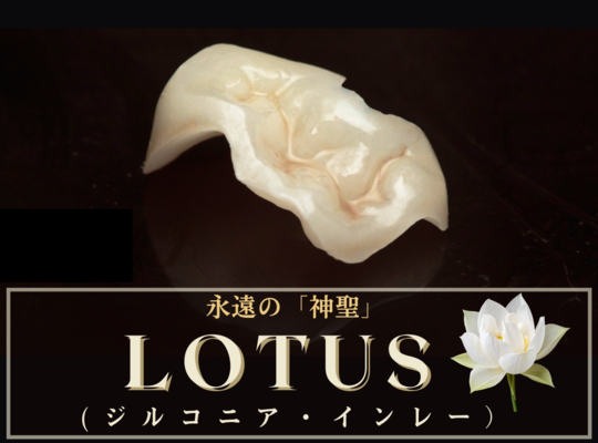 ジルコニア・インレー