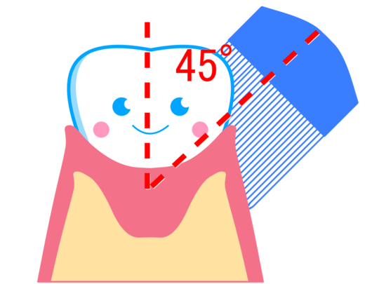 歯ブラシの当て方、動かし方