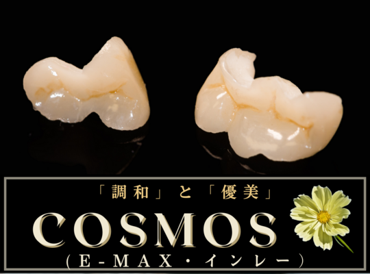 E-MAX・インレー