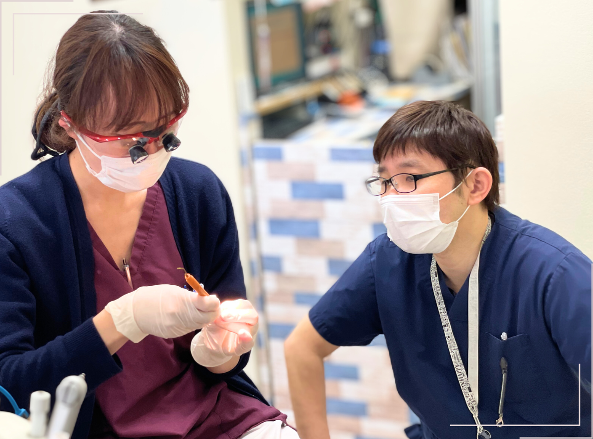 高円寺駅南口徒歩2分の歯医者、高円寺PAL歯科医院の歯科衛生士さんの募集要項