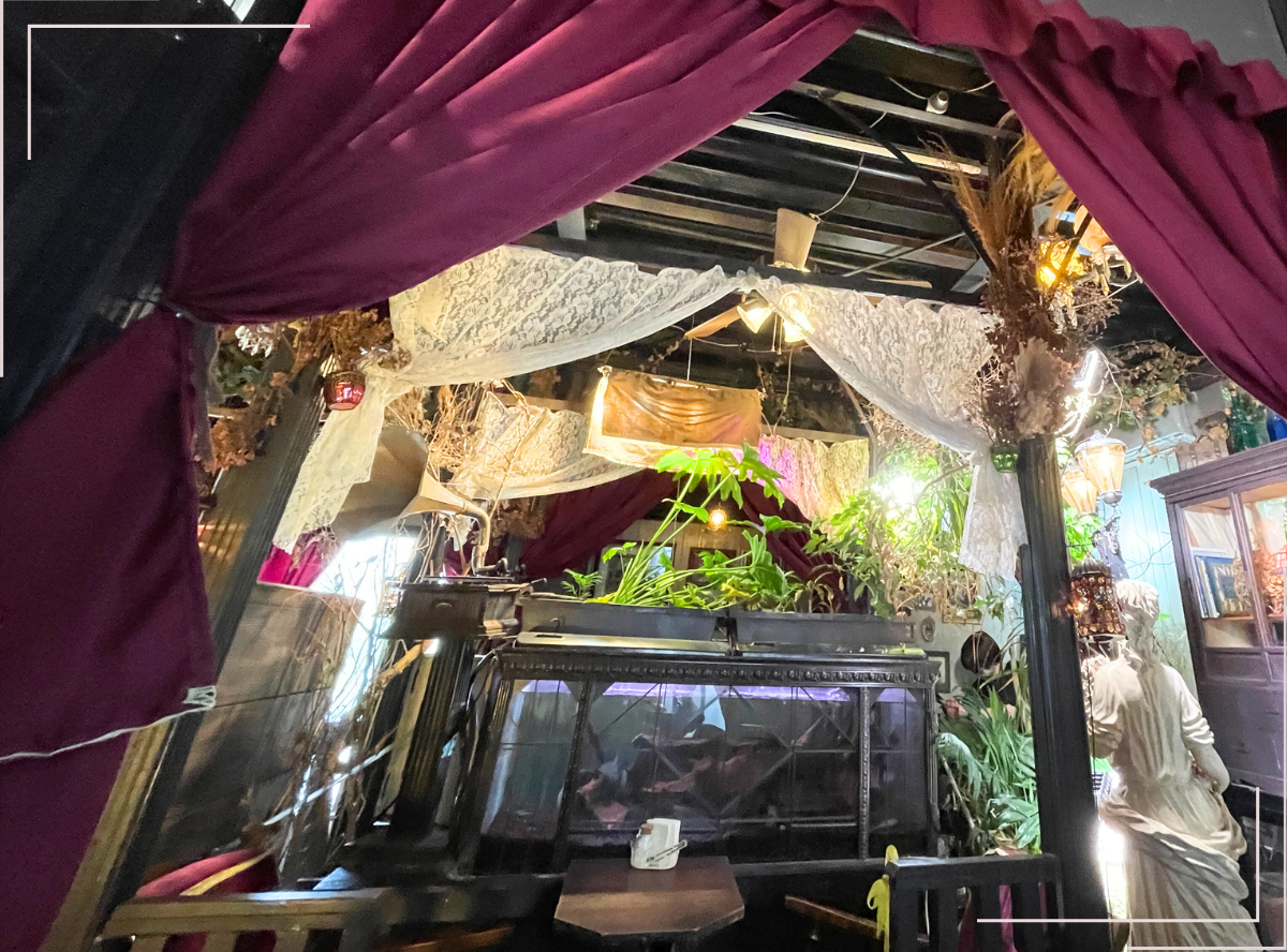 高円寺駅南口徒歩2分の歯医者、高円寺PAL歯科医院の高円寺についての紹介